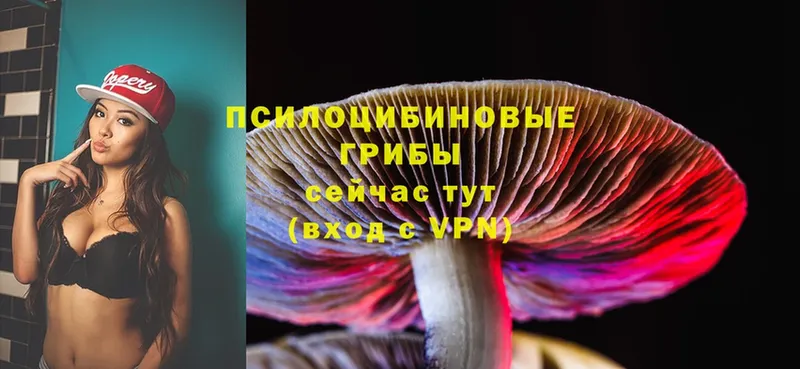 Псилоцибиновые грибы Psilocybine cubensis  купить закладку  Ак-Довурак 